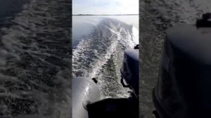мотор Yamaha 5 CMHS лодка PM 320 EL 9