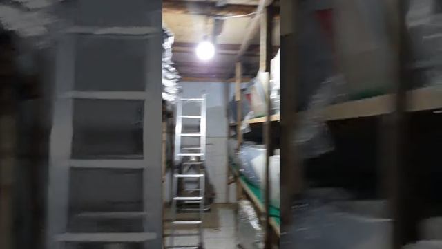 Prius 20/30 ve Chevrolet Cruze,Aveo islenmis ehtiyyat hisseleri.055 837 27 77 смотреть онлайн