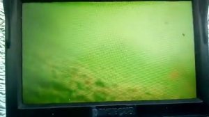 Видео с камеры Амбулова Виктора