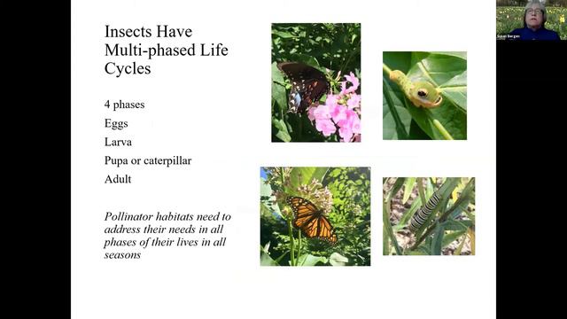 New Canaan Library Presents: Sustainable Lifestyle Show & Tell in Celebration of Earth Day смотреть онлайн