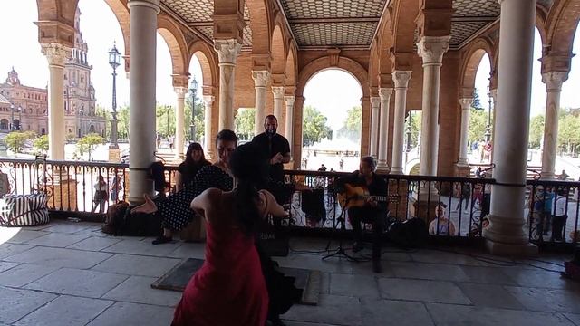 La Flamenco Dance Show Abril 2023 Ep.7 | Plaza España Sevilla #sevillanas #plazaespaña #sevilla смотреть онлайн