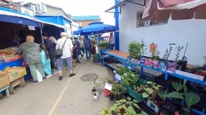 Отдых в Ейске на Азовском море . Городской центральный рынок . Что здесь происходит ?