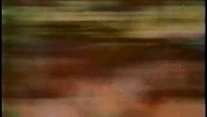 Городок - "Вернисаж городка 10"