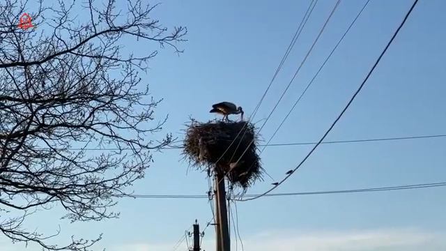 Село Марамоновка глазами туриста Вовы Карманова