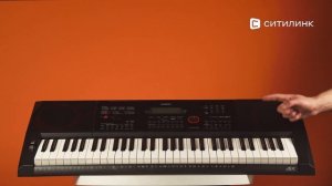 Обзор синтезатора Casio CT-X3000 | Ситилинк