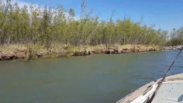 Оймякон река Куйдусун на рыбалки смотреть онлайн