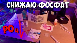 Снижаю фосфат в морском аквариуме