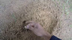 Лучший Российский металлоискатель тест