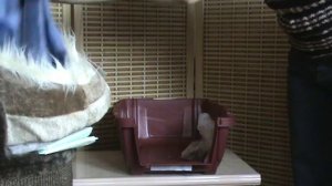 Как утеплить переноску для животных. Часть 2.