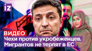 Чехов достала «свинячья мова» и беженцы с Украины. Мигранты из Незалежной бедствуют в ЕС / Известия