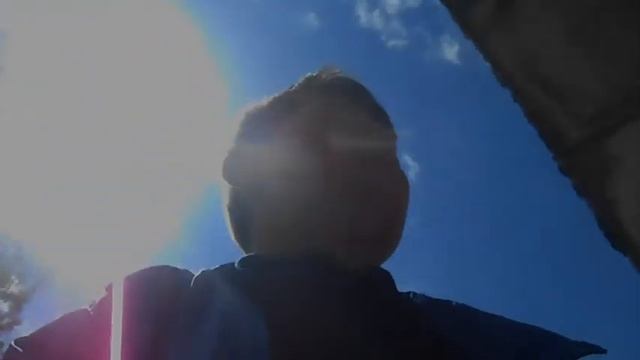 СТАЛК: Злая собака в заброшке Часть 1 смотреть онлайн