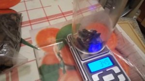 Дубовые чипсы против Дубовых веток.