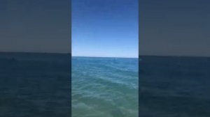 Яхта, парус, в этом мире только мы одни.... ⛵⛵