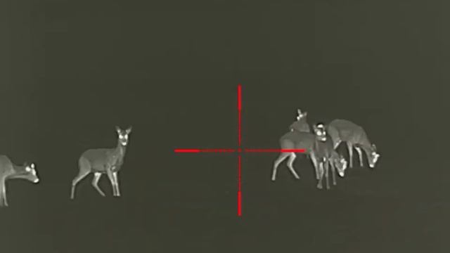 Iray Rico RL42 LRF смотреть онлайн