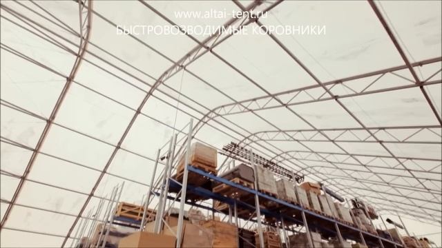 Холодное содержание телят, бычков, коров, КРС на откорм смотреть онлайн