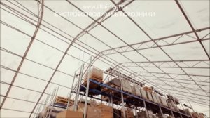 Холодное содержание телят, бычков, коров, КРС на откорм