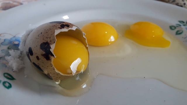 Перепелиные Яйца, гарантия качества продукта смотреть онлайн