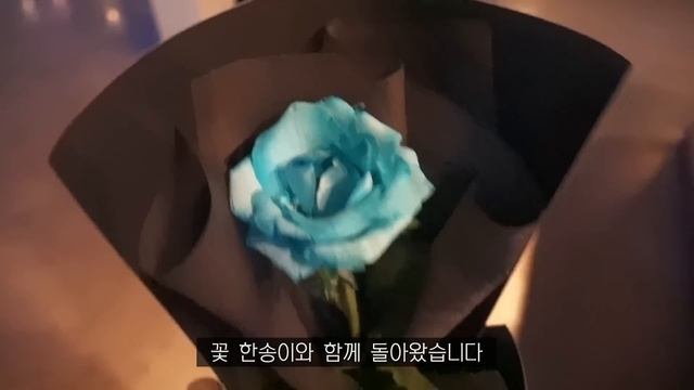 SUB•VLOG) 여름 휴가 보내는 일상. 추적추적 비 내리는 부산 여행, 신발•옷•악세사리 언박싱, 2박3일 부산 여행 계획
