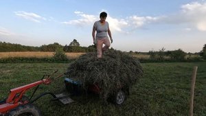 42 возика сена на мотоблоке МТЗ- 09Н.