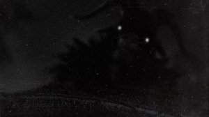 ЗВЕРИ ОПАСНЫ? | Теории TINY BUNNY (зайчик)