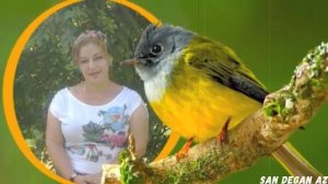 Старая Чеченская Песня Роза Вахабова Гуьйре НОСТАЛЬГИЯ