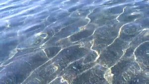 7.10.21 Крит, Иерапетра, отель Алмира