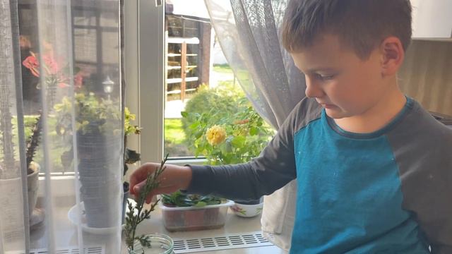 Данечкин огородик смотреть онлайн