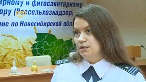 Правила хранения круп_СТС-Мир_Гааг Е.А._30.09.2020.mp4