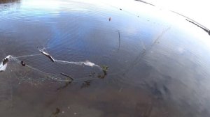 Проверяю сетки поставленные на сига и на камбалу в броднях| Рыбалка на мелях