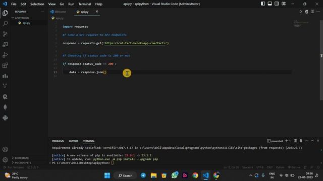 How to use API in Python | API in Python