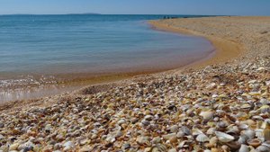 АЗОВСКОЕ МОРЕ ЧИЩЕ, чем ЧЕРНОЕ? ЗОЛОТОЙ ПЛЯЖ. Обзор территории, ГРЯЗИ и винное СПА, сезон 2020