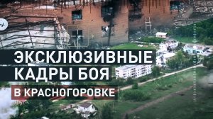 Продолжение боя за дом Миныча в Красногоровке: ВСУ предприняли безуспешную попытку контратаковать