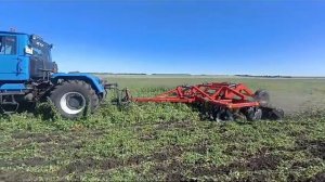 Видео от клиента Борона дисковая БДМ 5х2ПК Татарстан