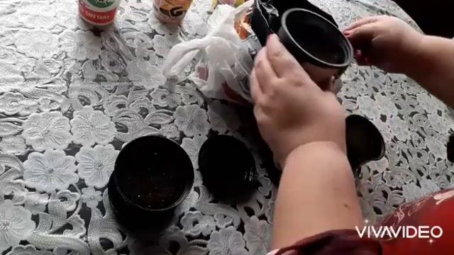 Саджу кімнатні фіалки. 12.12.2022 смотреть онлайн