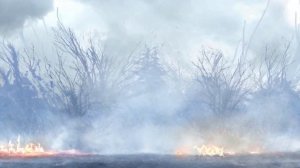 Warhammer 40,000: Dawn of War II – Retribution все концовки (all endings)