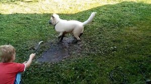 Мартинес... дача... вода из шланга (4 месяца).