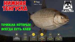 ТОЧКИ НА КОТОРЫХ ВСЕГДА КЛЮЁТ #1 МАТЧИ НА НИЖНЕЙ ТУНГУСКЕ В РУССКОЙ РЫБАЛКЕ 4 РР4