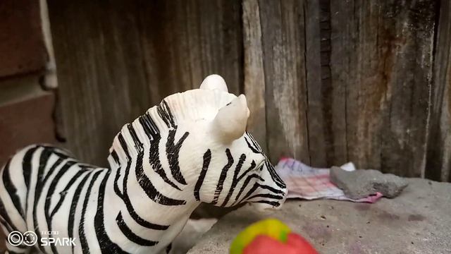 приключения льва бро и тигра бро (серия про магазин) смотреть онлайн