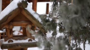 ?НОВОГОДНЯЯ МУЗЫКА ✨10 часов атмосферы рождества БЕЗ РЕКЛАМЫ