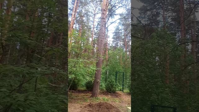 2 часть. Строительство бани и беседки смотреть онлайн