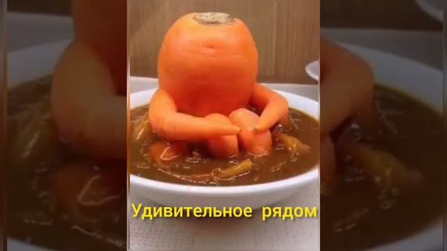 Удивительное рядом