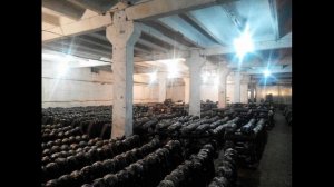 Расположение блоков вешенки рядами. Arrangement of oyster mushroom blocks in rows and on the floor.