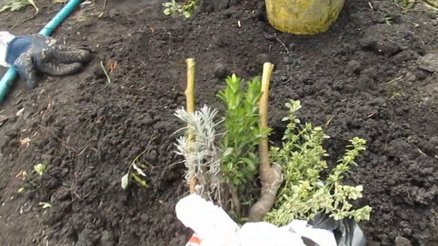 КАК ОТПРАВЛЯЮТСЯ ПОСЫЛКИ. смотреть онлайн