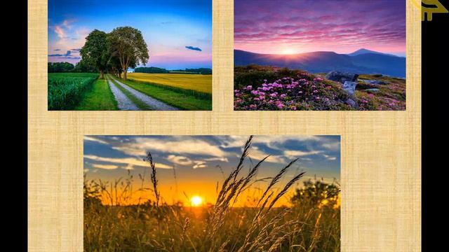 Максим Рильський смотреть онлайн