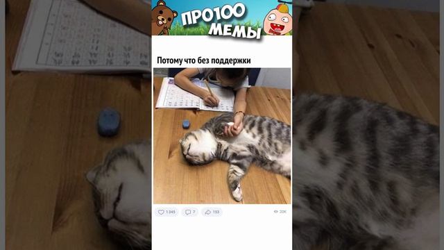 Мемы и приколы с озвучкой #мемы #коты #приколы #shorts #угар #мемыпро100 #коты #