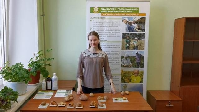 Выбираем картофель для посадки