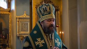 12 июня 22г. Митрополит Иларион (Алфеев): я оказался на обочине