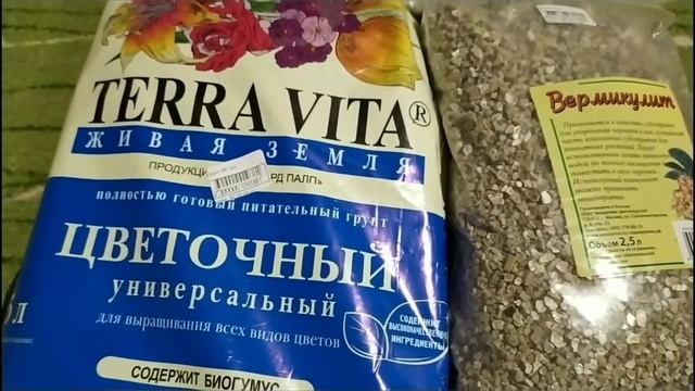 УХОД ЗА ФИАЛКАМИ.