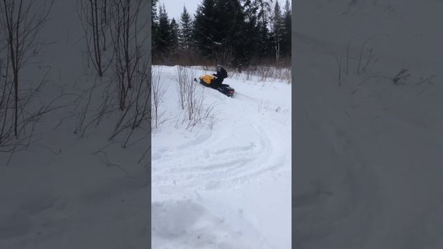 Ski-doo tundra