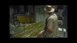 ЗАБОР ИЗ ЛОЗЫ 2 ЧАСТЬ с Крыжановским Александром.